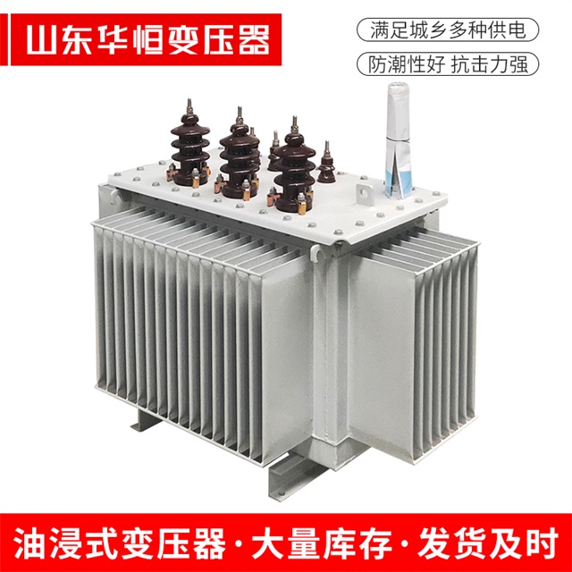S13-10000/35金堂金堂金堂油浸式变压器厂家